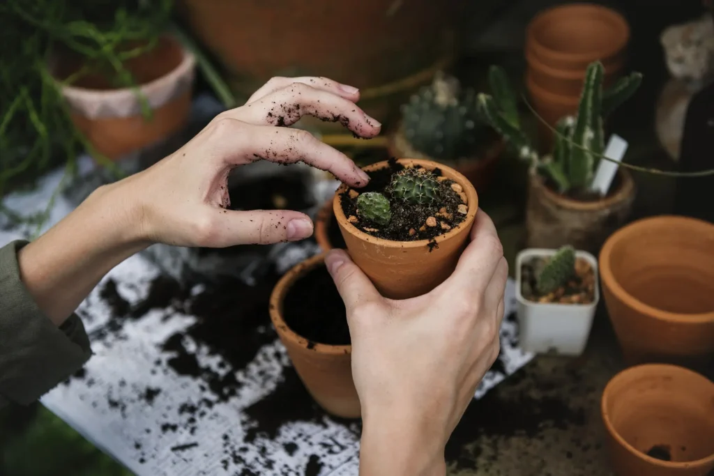 Person planting a tree in a community garden.